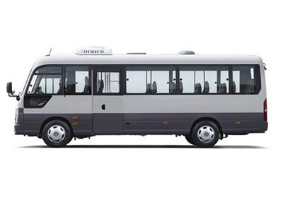 Hyundai Nouveau County